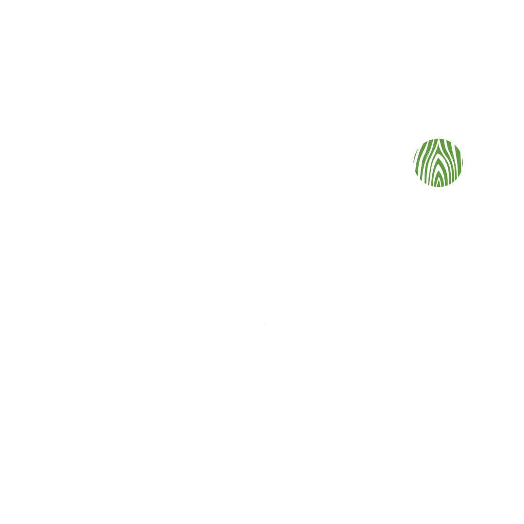 Audi Lumber
