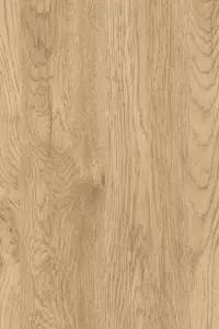 2666