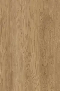2667