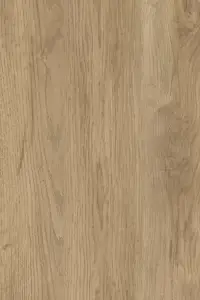 2669