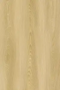 9807